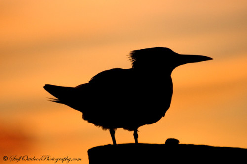 Travel and Adventure Photography Workshop