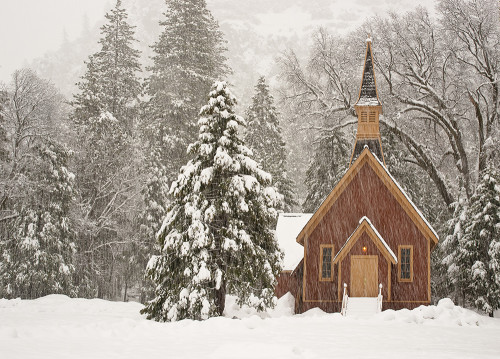 YOSEMITE WINTER WONDERLAND 2012 FEBRUARY 2nd 8th