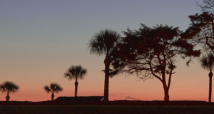 St Augustine May 4-6 ONLY $495 includes lodging.  We still have openings!