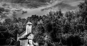 3 Day Mt Dora Ladies Photography Retreat  Feb 4-6/2015
