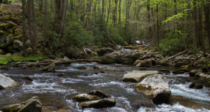Polarizer – The Magic Filter by Joe Fitzpatrick