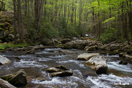Polarizer – The Magic Filter by Joe Fitzpatrick