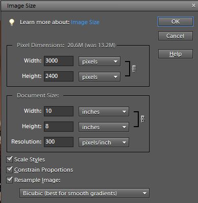 Size Matters!  What size should my JPEGS be?  By Joe Fitzpatrick
