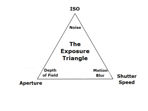 Basic Exposure  – Your Camera has a Light Meter