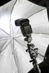 3 Day Mt Dora Ladies Photography Retreat  Feb 5 – 7/2013