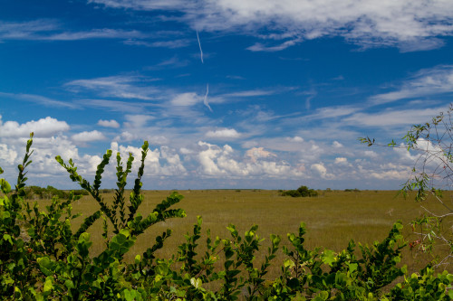 Everglades Three Day Photo Adventure!