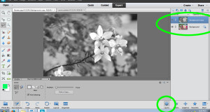 Using Layers in Photoshop or Elements