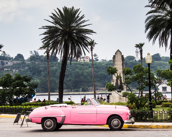 9 old pink car and palm tree