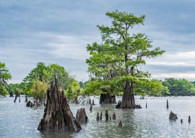 apalachicola-photo-trip-6