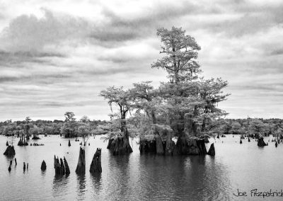 apalachicola-photo-trip-7