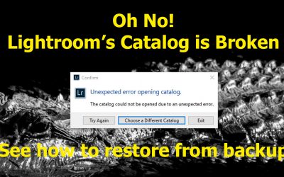 Restoring the Lightroom Classic Catalog from a Backup