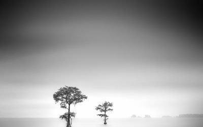 Using Negative Space and Slow Shutter for Impact in Fine Art Photography