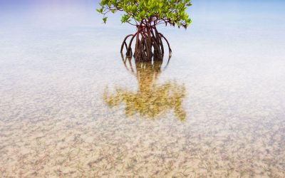 RV Life as a Nature Photographer