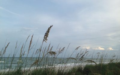 Best Photo Spots in Florida- Wiggins Pass