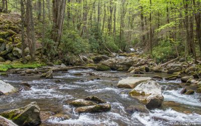 Camera Filter Types and Recommendations