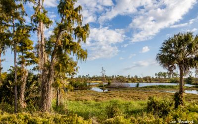 Best Photo Spots in Florida- Eagle Lakes Community Park