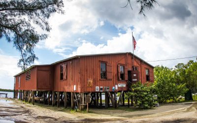 Best Photo Spots in Florida- Everglades, Collier County